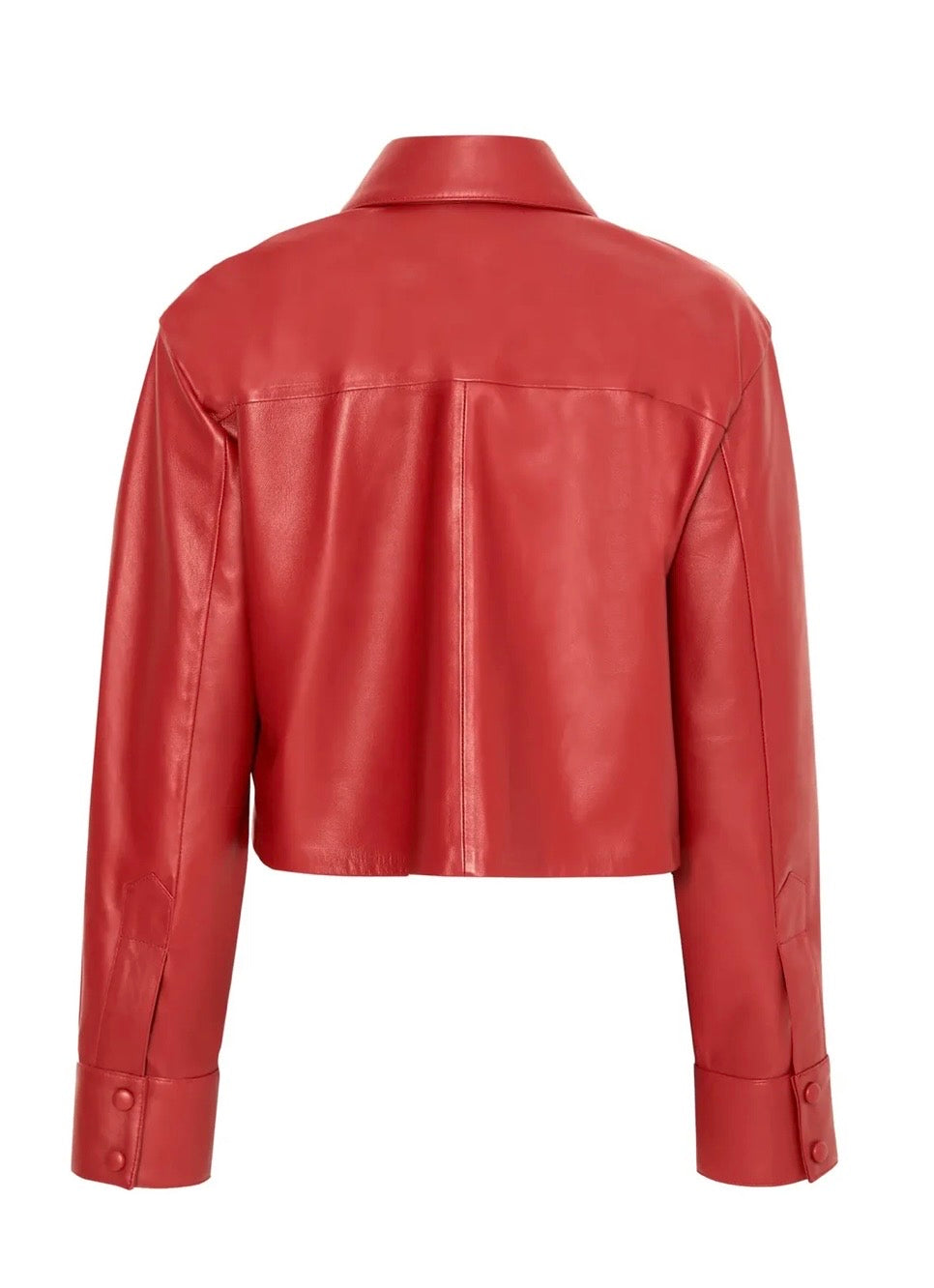 Vanessa Crop Leather Shirt